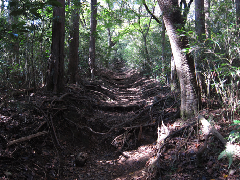 20201105hike (39)